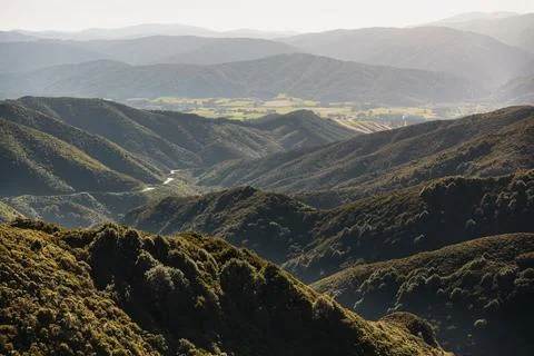 State highway 2 on Remutaka hill. Foto stock