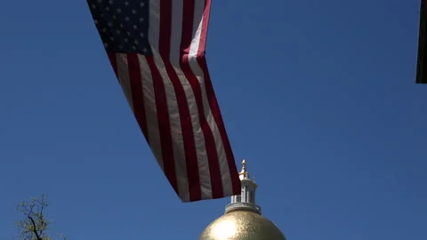 STATE HOUSE FLAG Stock Footage 178597728