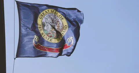 State of Idaho Flag blowing Stock Footage 199711591