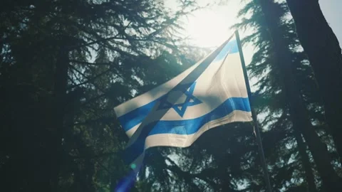 State of Israel flag flying in the wind in the forest on sunny day Stock Footage 267835660
