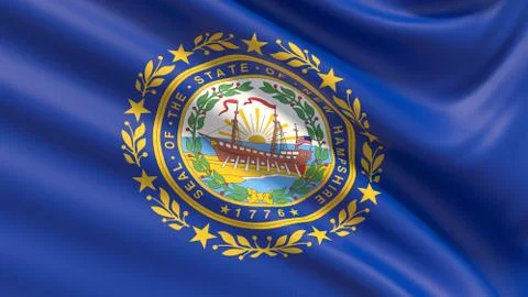 State of New Hampshire flag. Flags of the states of USA. Stock-Illustration
