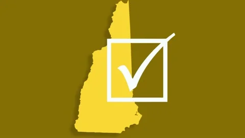 A State of New Hampshire voting check box animation libertarian party yellow Stock Footage 155222997