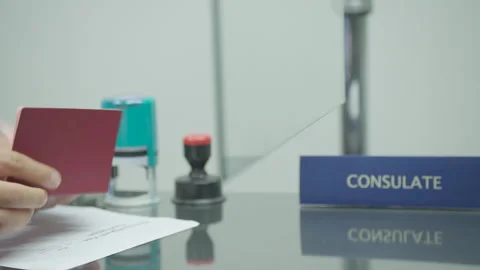State officer checking passport and documents at consulate center Video stock 248698537