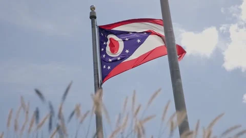 State of Ohio flag blowing in the wind with sun flare Stock Footage 249700526