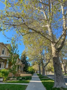 State St perspective view Stock Photos