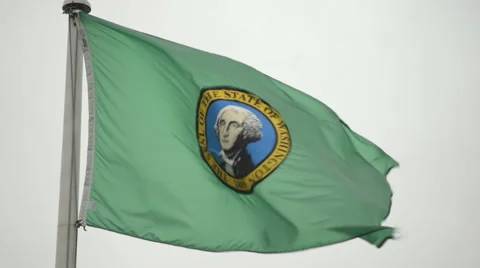 State of Washington flag Stock Footage