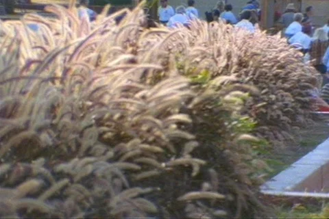 StateFarTexas37 Stock Footage 292522