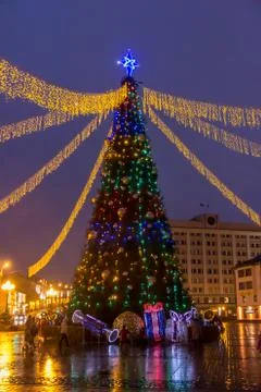 State's main Christmas tree Stock Photos