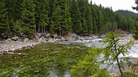 Static 1-minute 4K loop of a calm mountain river with crystal clear water flo Stock Footage 345275424