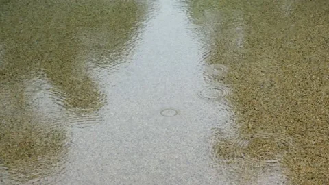 Static 4k Footage Of Light Rain In Falling In A Shallow Pool Stock Footage 146206220