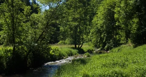 A static 4k shot of an amazing river in Upper Austria Stock Footage 157872104