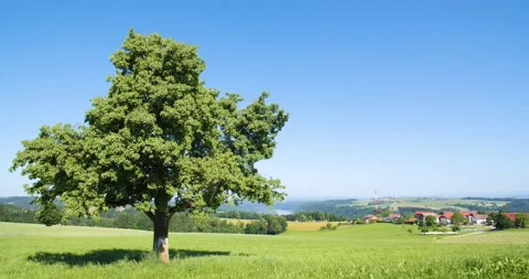 A static 4k shot of a beautiful landscape in Upper Austria Stock Footage 157872822