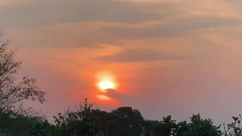 Static 4K Sunset with Tree Silhouettes and Gently Moving Leaves Stock Footage 340611315