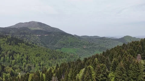 Static 5-Second Aerial Shot of Forest and Mountain Plateau Landscape Stock Footage 337929752