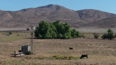Static Aerial of a cattle ranch with a windmill drawing water from the ground Stock Footage 254212567