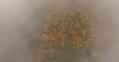 Static Aerial of Clouds Moving Over Forest Fall Foliage Stock Footage 96458856