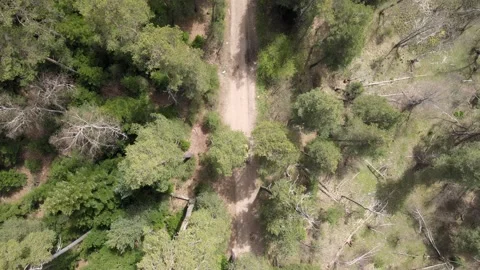 Static aerial drone shot of an ATV driving through a forest Video stock 337534133