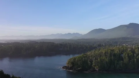 Static Aerial drone view - Mountains are covered with tall trees. Stock Footage 124980022