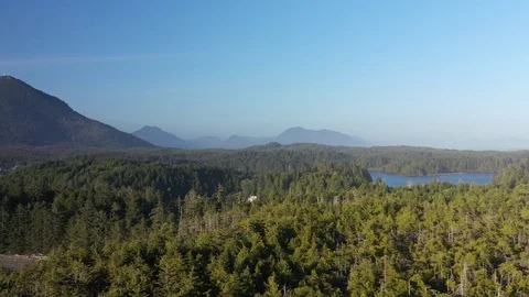 Static Aerial drone view - Mountains are covered with tall trees, 4K Stock Footage 124980069