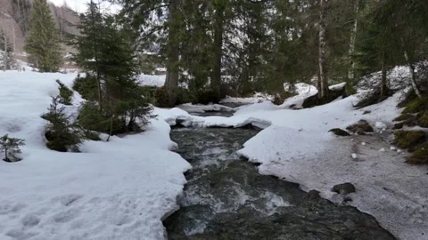 Static aerial of mountain stream in winter forest, Lengau Austria, 4K 60fps Vídeos de archivo 329922356