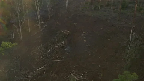 Static aerial perspective of smouldering fire in land clearing. Stock Footage 161209249