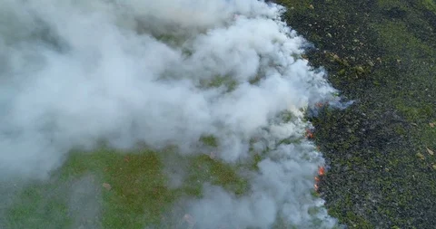 Static aerial shot looking down on green grass ablaze on hillside emitting wh Stock Footage 85644616