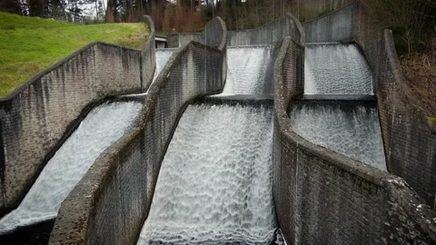 A static aerial shot of the River Dodder moving through Bohernabreena Reservoir. Stock Footage 171169420