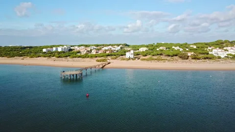 Static aerial view of a beach with a harbor house among pine trees between a Stock Footage 147680342