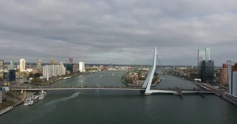 Static aerial view of bridge, Rotterdam, Erasmus  Stock Footage 99149088