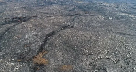 A Static Aerial View of a Devastated Landscape After a Wildfire The Concept.. 스톡 동영상 318318393