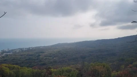 Static autumn forest mountain landscape under dramatic cloudy sky view Stock Footage 322055792