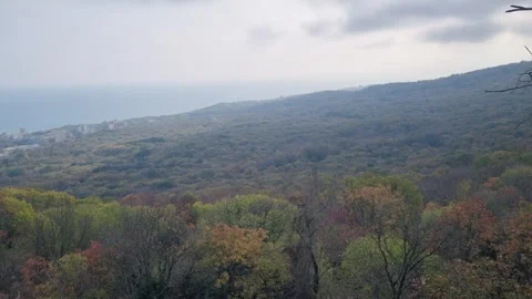 Static autumn forest mountain view with colorful seasonal foliage haze Stock Footage 322055800