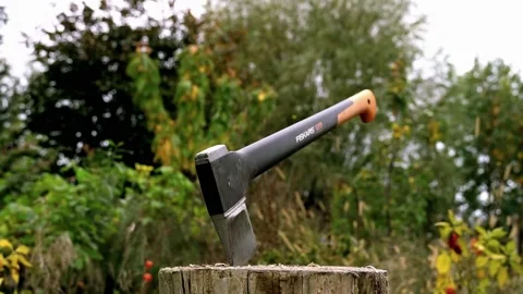 Static axe in wooden chopping block with wind un unkempt garden in background Stock Footage 220084869