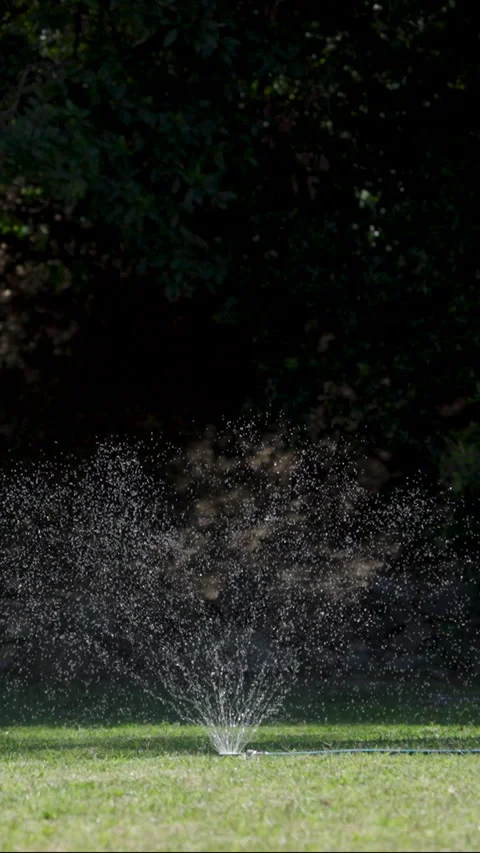 Static of backyard sprinkler Video stock 311552269