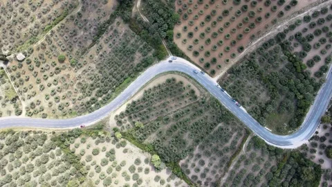 A static, bird's-eye view of a highway cutting through a patchwork of 動画素材 261699325