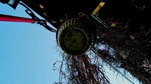 Static bottom up shot of a hanging pot with dried Spanish moss plants again.. Stock Footage 342029702