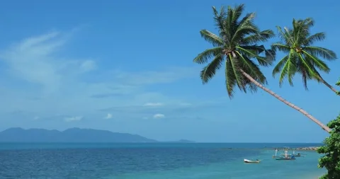 Static calm video scene on the tropical sandy beach with sailing colorful boats Stock Footage 216031105