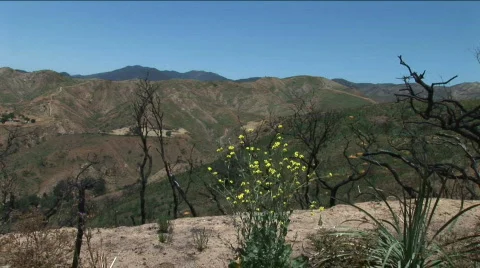 Static Canyon Vista 06 動画素材 129377