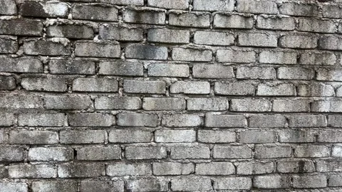 Static Cement Wall Surface Background Video Stock Footage 329011458