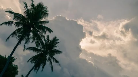 Static cinematic time lapse Epic storm tropical clouds forming over palm tr.. Stock-Footage 277275806