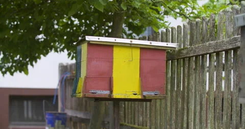 Static close up shallow focus shot, small colorful beehive apiary. Stock Footage 132496565