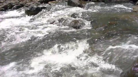 Static close-up shot of Balung river flow Stock Footage 93594395