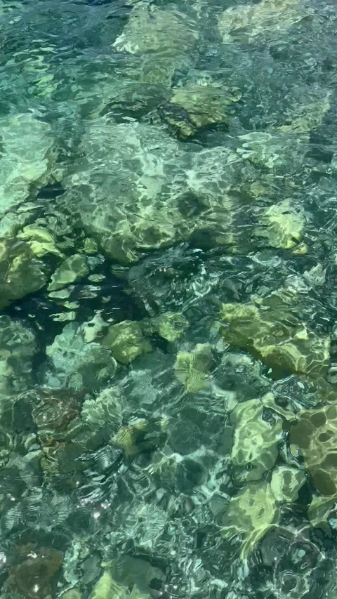 Static close up shot of clear transparent sea water ripples showing pebbles Stock Footage 336278511