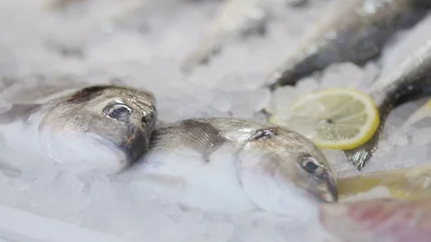 Static close up shot of the eyes of two fish in a fishmonger's shop Stock Footage 85278074