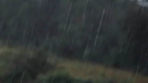 Static Close Up Shot of Heavy Rain Falling Against Blurred Green Forest Stockbeeldmateriaal 336731348