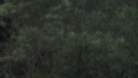Static Close Up Shot of Light Rain Falling Against Blurred Green Forest Stock Footage 336731363