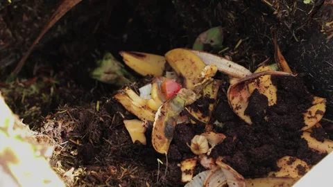 Static Close Up Shot of Organic Food Waste in Compost Bin Stock Footage 336433337