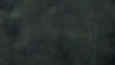 Static Close Up Shot of Rain Falling Against Dark Blurred Forest Background Stock Footage 336731370