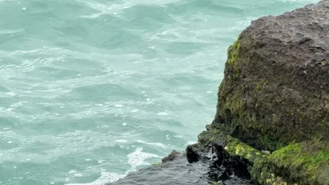 Static close-up shot of turquoise Bosphorus sea waves gently lapping Vídeos de archivo 340155011