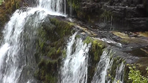 Static close-up of small clean waterfall on mossy rocks Video stock 92576395